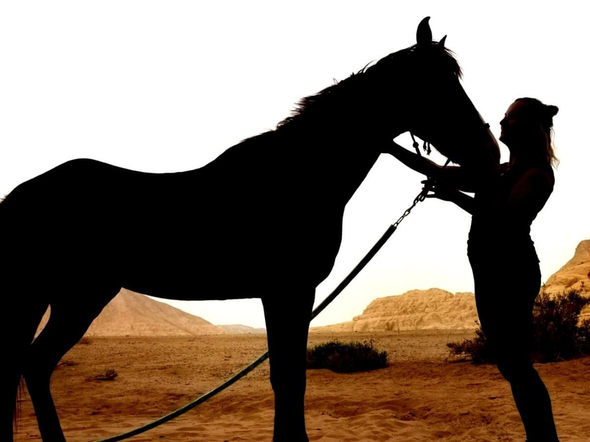 Wadi Rum Bedouin Tour With A Camp Экстерьер фото