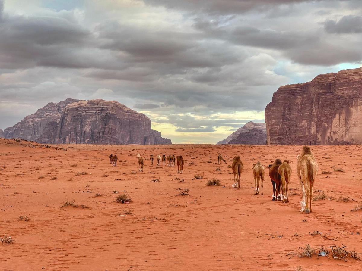 Wadi Rum Bedouin Tour With A Camp Экстерьер фото