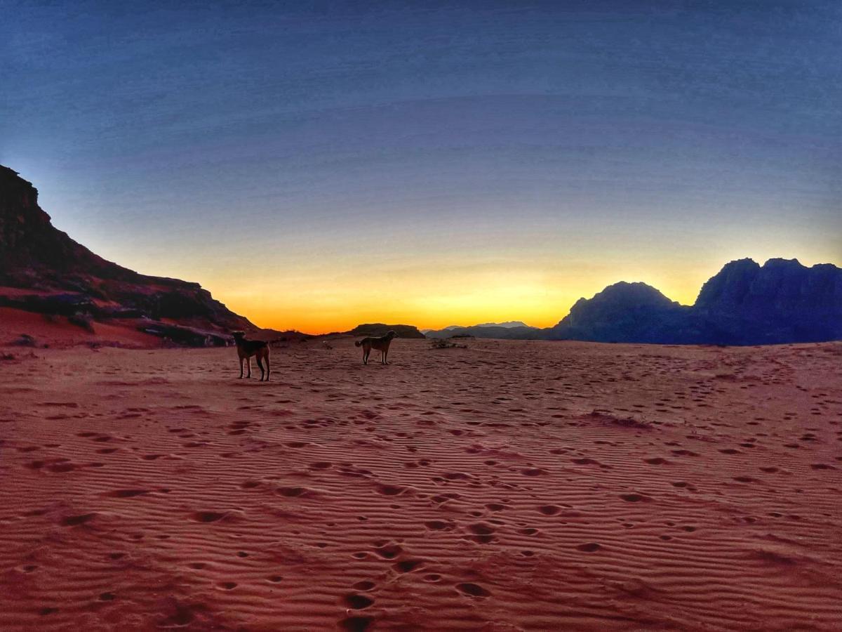 Wadi Rum Bedouin Tour With A Camp Экстерьер фото