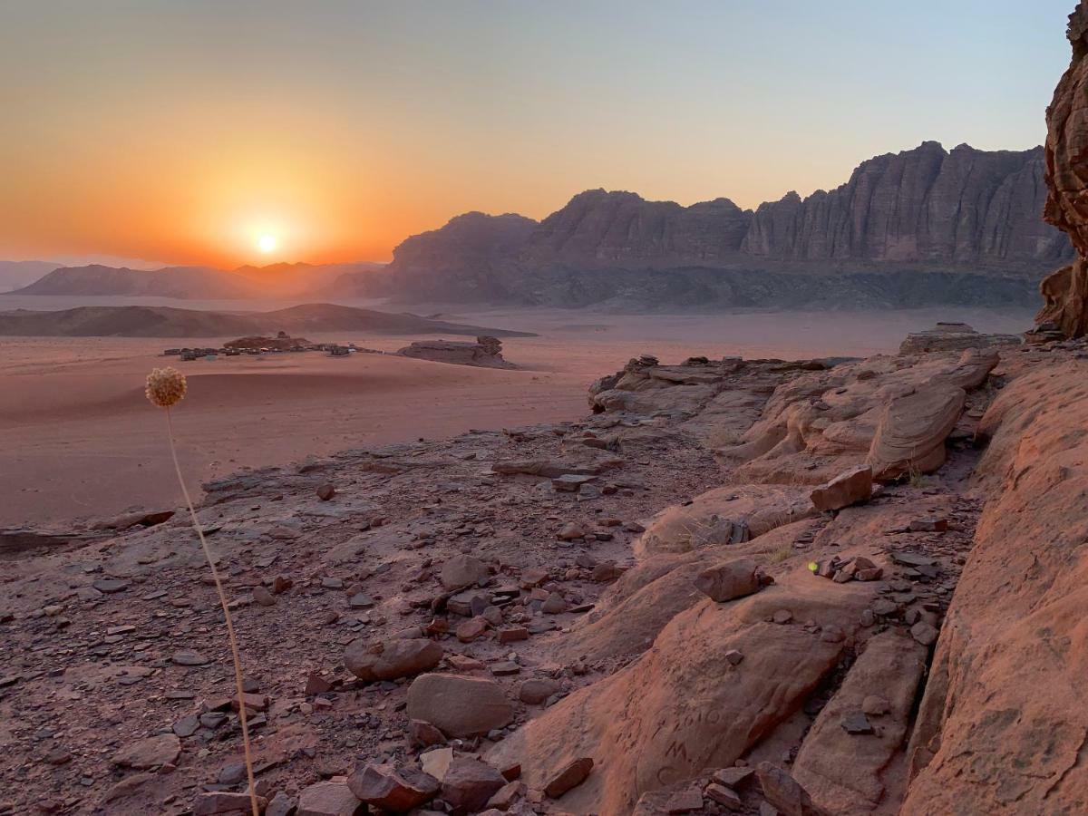 Wadi Rum Bedouin Tour With A Camp Экстерьер фото